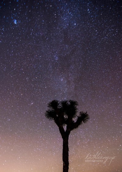 Starry backdrop