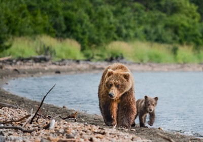 Stroll with Mama