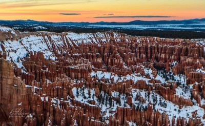 Hootoos at Bryce